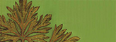 farbbefunderhebung